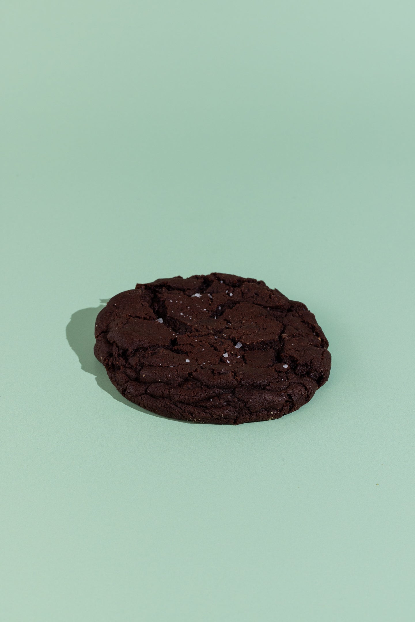 Salted Double Chocolate Chip Brookies