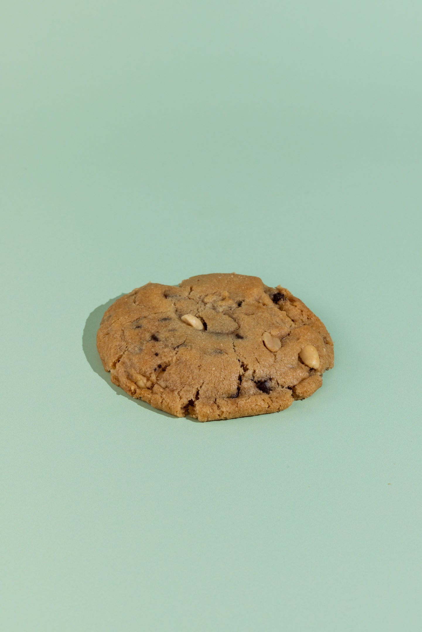 Peanut Butter Chocolate Chip Cookies