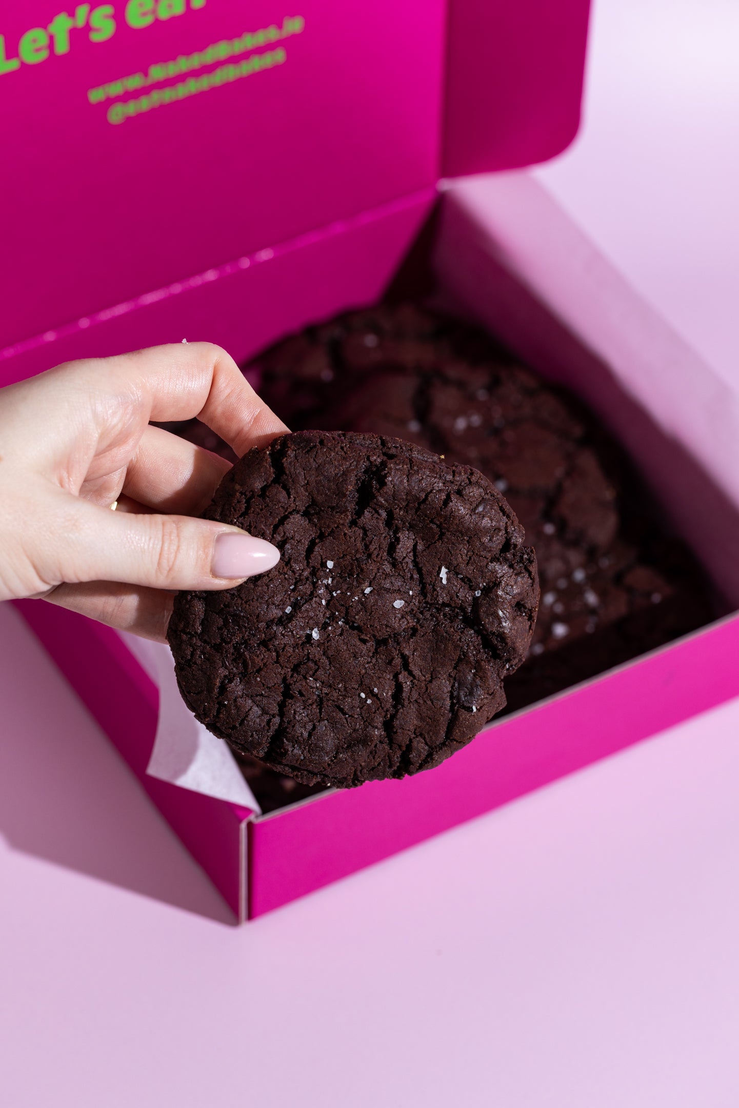 Salted Double Chocolate Chip Brookies